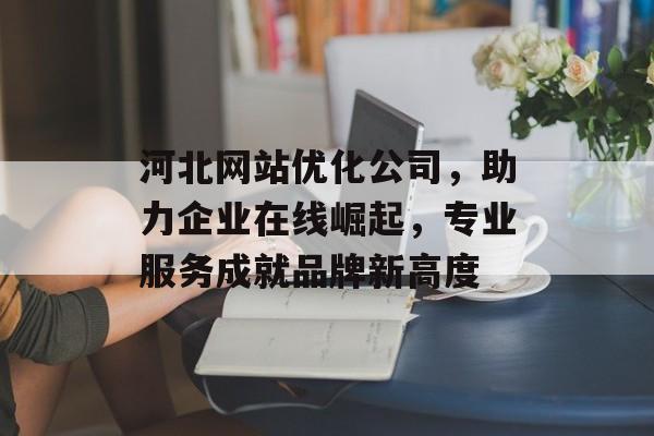 河北网站优化公司，助力企业在线崛起，专业服务成就品牌新高度
