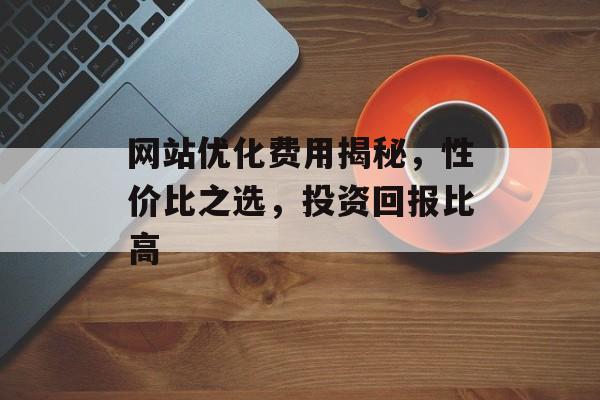 网站优化费用揭秘，性价比之选，投资回报比高