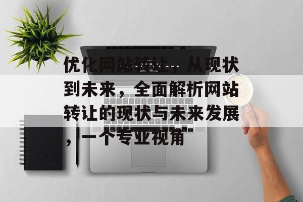 优化网站转让,从现状到未来,全面解析网站转让的现状与未来发展,一个专业视角 优化网站转让,从现状到未来,全面解析网站转让的现状与未来发展,一个专业视角