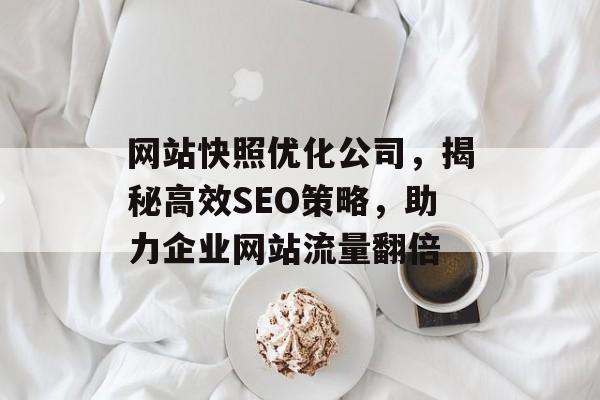 网站快照优化公司，揭秘高效SEO策略，助力企业网站流量翻倍