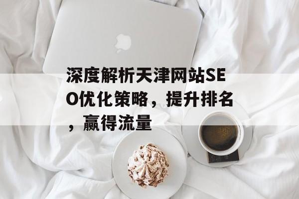 深度解析天津网站SEO优化策略，提升排名，赢得流量