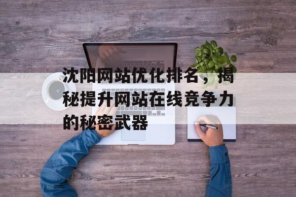 沈阳网站优化排名，揭秘提升网站在线竞争力的秘密武器