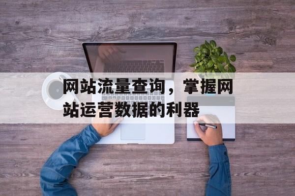 网站流量查询，掌握网站运营数据的利器
