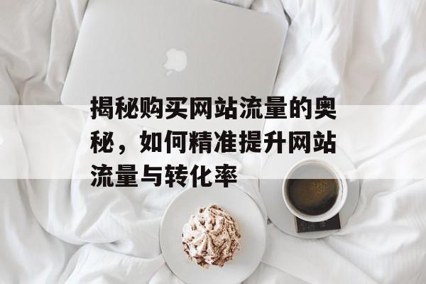 揭秘购买网站流量的奥秘，如何精准提升网站流量与转化率