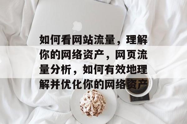 如何看网站流量，理解你的网络资产，网页流量分析，如何有效地理解并优化你的网络资产