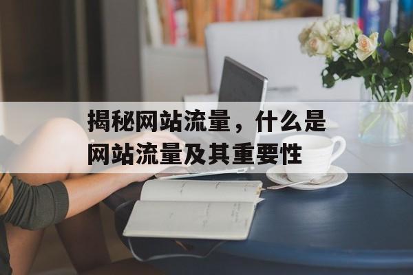 揭秘网站流量，什么是网站流量及其重要性