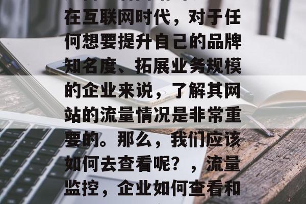 如何查看网站的流量？在互联网时代，对于任何想要提升自己的品牌知名度、拓展业务规模的企业来说，了解其网站的流量情况是非常重要的。那么，我们应该如何去查看呢？，流量监控，企业如何查看和优化网站的在线表现