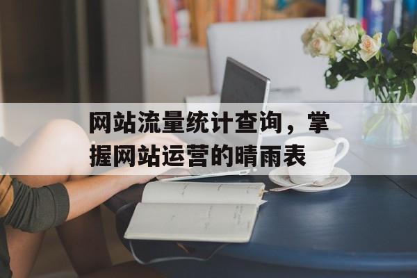 网站流量统计查询，掌握网站运营的晴雨表