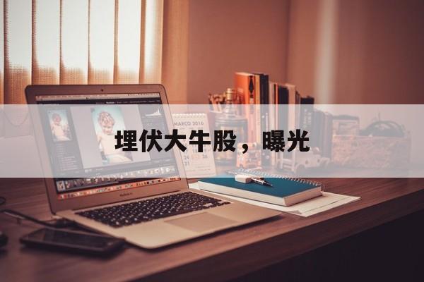 埋伏大牛股，曝光