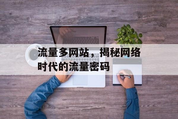 流量多网站，揭秘网络时代的流量密码