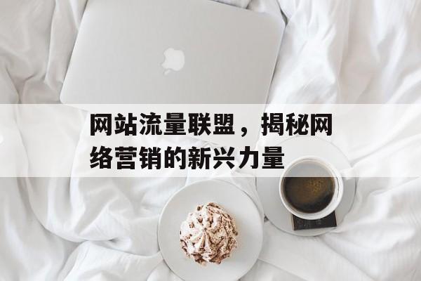 网站流量联盟，揭秘网络营销的新兴力量