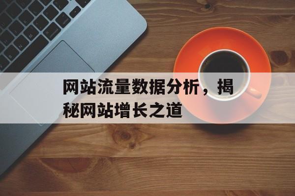 网站流量数据分析，揭秘网站增长之道