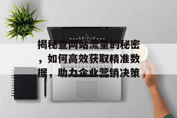 揭秘查网站流量的秘密，如何高效获取精准数据，助力企业营销决策