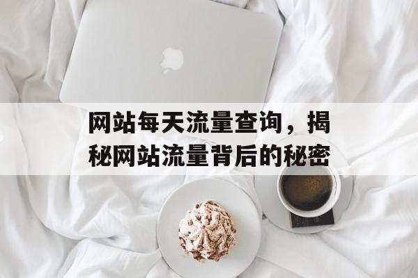 网站每天流量查询，揭秘网站流量背后的秘密