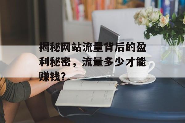 揭秘网站流量背后的盈利秘密，流量多少才能赚钱？