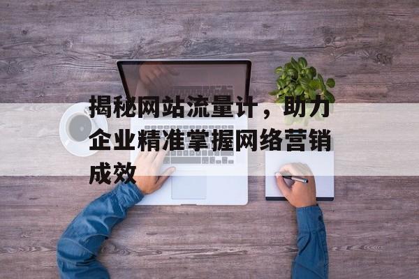揭秘网站流量计，助力企业精准掌握网络营销成效