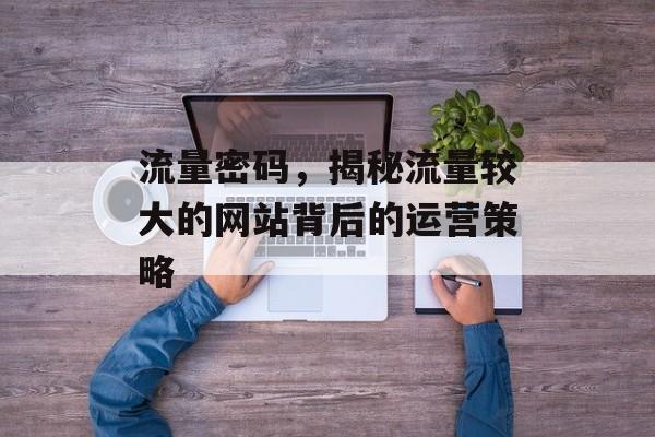 流量密码，揭秘流量较大的网站背后的运营策略