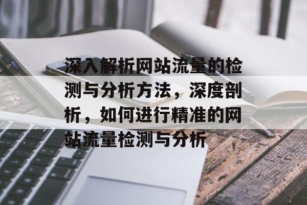 深入解析网站流量的检测与分析方法,深度剖析,如何进行精准的网站流量检测与分析 深入解析网站流量的检测与分析方法,深度剖析,如何进行精准的网站流量检测与分析
