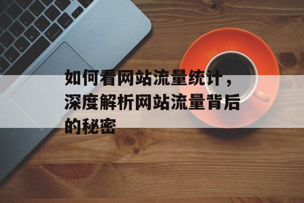 如何看网站流量统计，深度解析网站流量背后的秘密