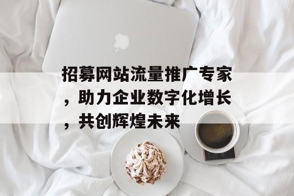 招募网站流量推广专家,助力企业数字化增长,共创辉煌未来 招募网站流量推广专家,助力企业数字化增长,共创辉煌未来