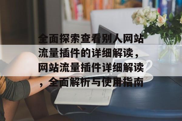 全面探索查看别人网站流量插件的详细解读，网站流量插件详细解读，全面解析与使用指南