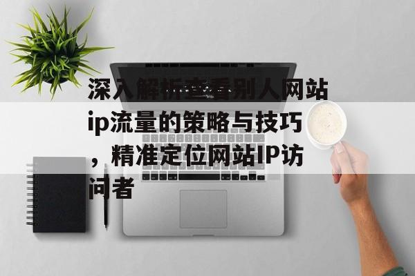深入解析查看别人网站ip流量的策略与技巧,精准定位网站IP访问者 深入解析查看别人网站ip流量的策略与技巧,精准定位网站IP访问者