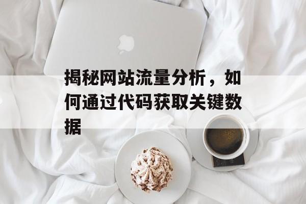 揭秘网站流量分析,如何通过代码获取关键数据 揭秘网站流量分析,如何通过代码获取关键数据