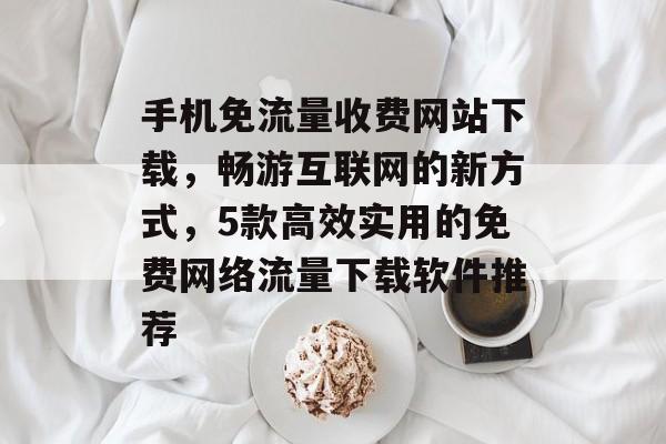 手机免流量收费网站下载，畅游互联网的新方式，5款高效实用的免费网络流量下载软件推荐