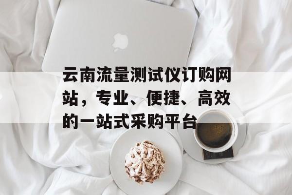 云南流量测试仪订购网站，专业、便捷、高效的一站式采购平台