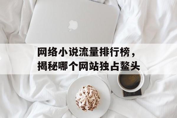 网络小说流量排行榜,揭秘哪个网站独占鳌头 网络小说流量排行榜,揭秘哪个网站独占鳌头