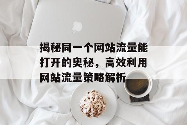 揭秘同一个网站流量能打开的奥秘,高效利用网站流量策略解析 揭秘同一个网站流量能打开的奥秘,高效利用网站流量策略解析