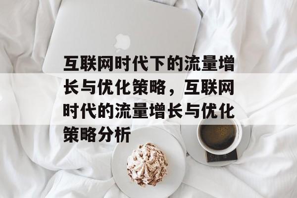 互联网时代下的流量增长与优化策略,互联网时代的流量增长与优化策略分析 互联网时代下的流量增长与优化策略,互联网时代的流量增长与优化策略分析