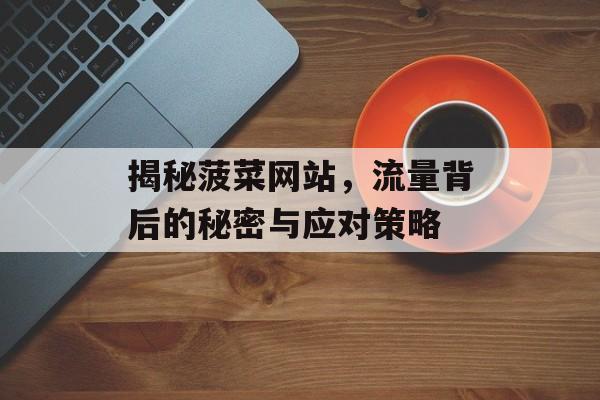 揭秘菠菜网站,流量背后的秘密与应对策略 揭秘菠菜网站,流量背后的秘密与应对策略