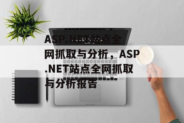 ASP.NET站点全网抓取与分析，ASP.NET站点全网抓取与分析报告