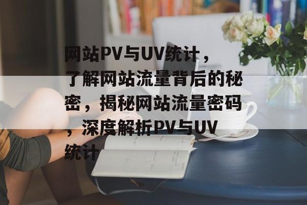 网站PV与UV统计，了解网站流量背后的秘密，揭秘网站流量密码，深度解析PV与UV统计