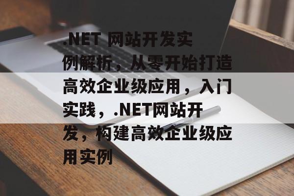 .NET 网站开发实例解析，从零开始打造高效企业级应用，入门实践，.NET网站开发，构建高效企业级应用实例