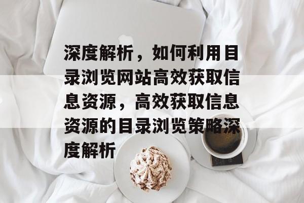 深度解析，如何利用目录浏览网站高效获取信息资源，高效获取信息资源的目录浏览策略深度解析