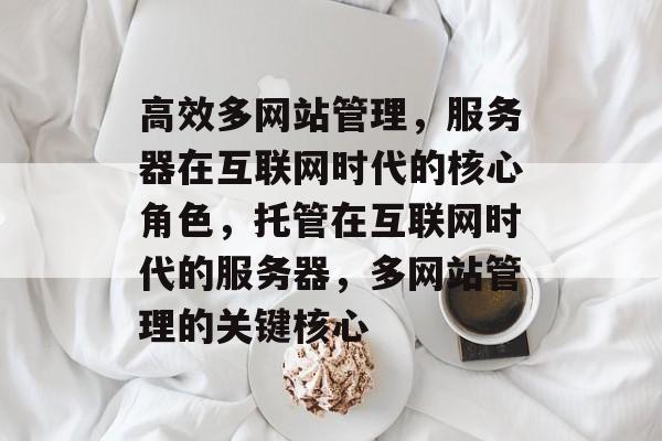 高效多网站管理，服务器在互联网时代的核心角色，托管在互联网时代的服务器，多网站管理的关键核心