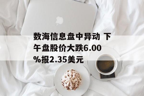 数海信息盘中异动 下午盘股价大跌6.00%报2.35美元