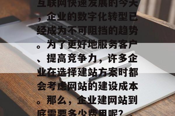 企业建网站多少钱？在互联网快速发展的今天，企业的数字化转型已经成为不可阻挡的趋势。为了更好地服务客户、提高竞争力，许多企业在选择建站方案时都会考虑网站的建设成本。那么，企业建网站到底需要多少费用呢？，企业建网站多少钱？