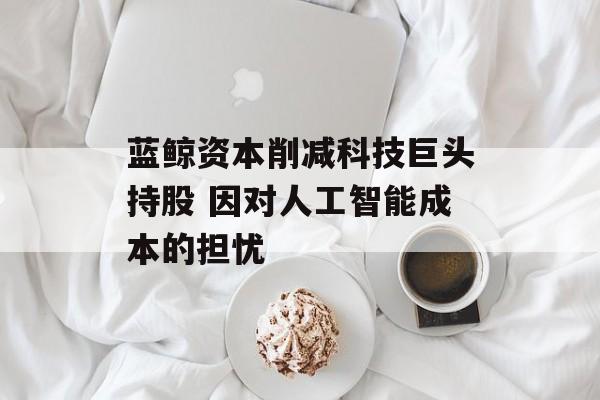 蓝鲸资本削减科技巨头持股 因对人工智能成本的担忧