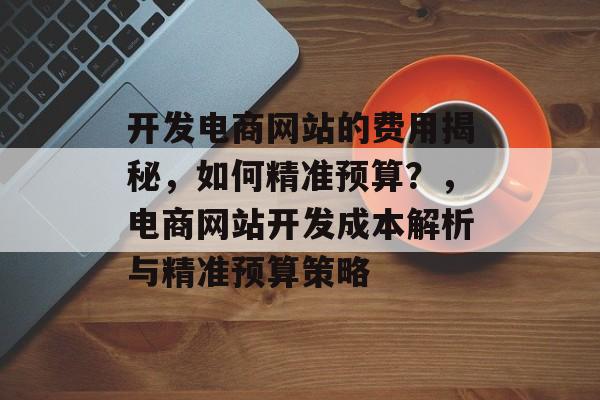 开发电商网站的费用揭秘，如何精准预算？，电商网站开发成本解析与精准预算策略