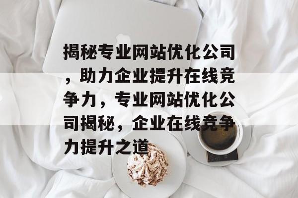 揭秘专业网站优化公司，助力企业提升在线竞争力，专业网站优化公司揭秘，企业在线竞争力提升之道