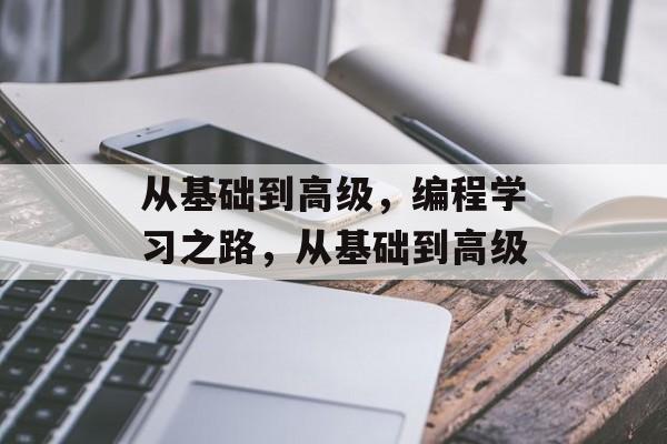 从基础到高级，编程学习之路，从基础到高级