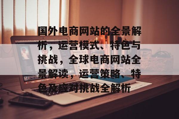 国外电商网站的全景解析，运营模式、特色与挑战，全球电商网站全景解读，运营策略、特色及应对挑战全解析