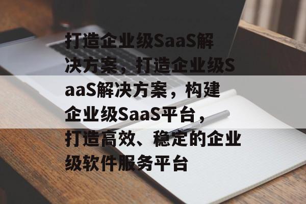 打造企业级SaaS解决方案，打造企业级SaaS解决方案，构建企业级SaaS平台，打造高效、稳定的企业级软件服务平台