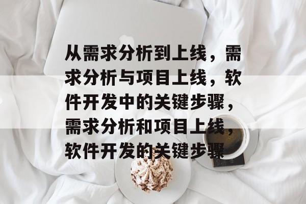 从需求分析到上线，需求分析与项目上线，软件开发中的关键步骤，需求分析和项目上线，软件开发的关键步骤