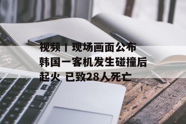 视频丨现场画面公布 韩国一客机发生碰撞后起火 已致28人死亡