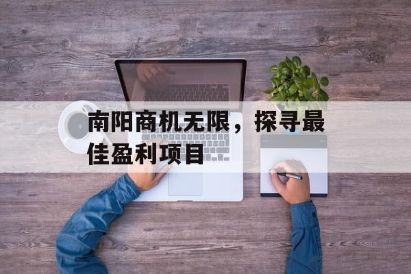 南阳商机无限，探寻最佳盈利项目