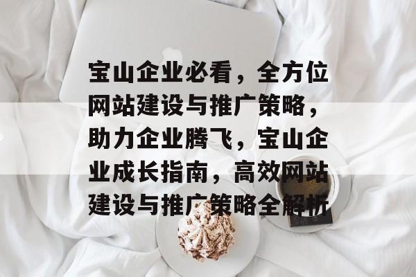 宝山企业必看，全方位网站建设与推广策略，助力企业腾飞，宝山企业成长指南，高效网站建设与推广策略全解析